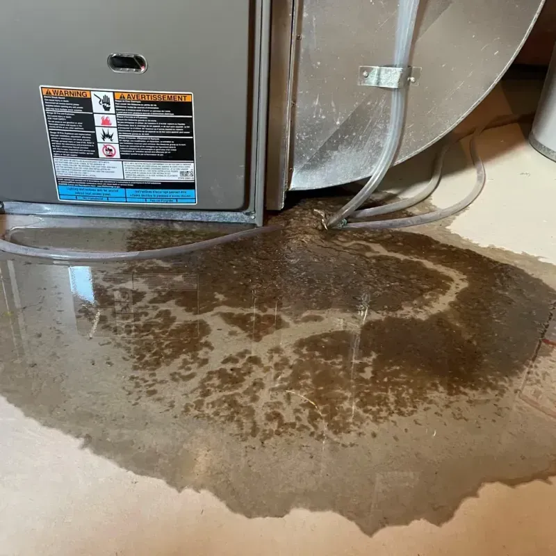 Appliance Leak Cleanup in Darlington County, SC